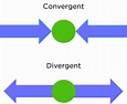 Convergent Evolution — Definition & Examples - Expii