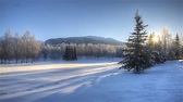 Winter Wonderland Desktop Wallpaper (47+ images)