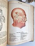Antique illustrated medical book 1910s anatomy color plates | Etsy