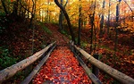 Fall Scenery Wallpaper (57+ images)