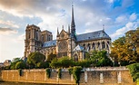 La historia de la Catedral de Notre-Dame, la joya del arte gótico que ...