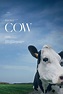 Cow (2021) - IMDb