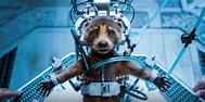 PETA premia a “Guardianes de la Galaxia Vol.3” como la mejor película ...