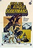 "OTRA VEZ AL ATAQUE DOBERMANS" MOVIE POSTER - "THE DARING DOBERMANS ...