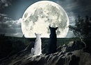 ¿Cómo afecta la Luna llena a tus mascotas? — FMDOS