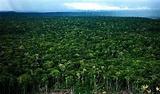 最美的地方之亚马逊热带雨林