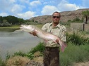 Native Fish Species of Colorado