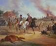 Napoleonische Kriege - Geschichte kompakt