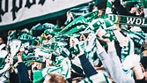 Fanszene aktuell | VfL Wolfsburg