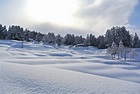 1600x900 wallpaper | snow filled trees photo | Peakpx