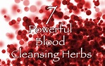 7 Powerful Blood Cleansing Herbs - Healthy Focus