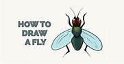 How To Draw A Fly Really Easy Drawing Tutorial - vrogue.co