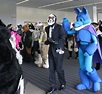 Spy from TF2 successfully infiltrated a furry convention : r/gaming