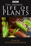 TV Time - The Private Life of Plants (TVShow Time)