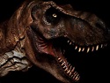 EL LIBRO DE LOS DINOSAURIOS: Tyrannosaurus rex