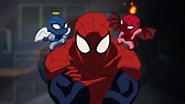 Top 5: Series animadas de Spider-Man | Marvel