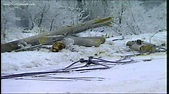 Neighbors Helping Neighbors | A look back at the Ice Storm of '98 ...