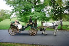 Our dark green and tan carriage looks great for a wedding. www ...