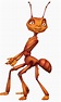 Z (Antz) | Universal Studios Wiki | Fandom