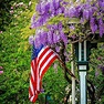 American Spring Photograph by Michael Brooks - Pixels
