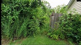 Overgrown Residential Yard (Before and After Only) - YouTube
