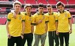 One Direction volta ao Brasil em janeiro de 2016 – Jornal no Palco