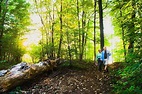 Woodstock, Kanada: Tourismus in Woodstock - Tripadvisor