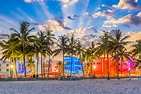 Miami Tipps: Das solltet Ihr gesehen & erlebt haben - Urlaubstracker.at