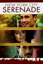 New York City Serenade (2007) - Posters — The Movie Database (TMDB)