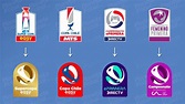 La Primera División de Chile tiene nuevo logo oficial