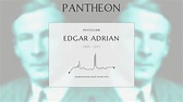 Edgar Adrian Biography - English electrophysiologist (1889–1977) | Pantheon