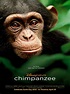 Poster zum Film Schimpansen - Bild 25 auf 33 - FILMSTARTS.de