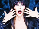 Elvira's Movie Macabre Full HD Wallpaper and Background Image ...