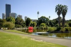 Royal Botanic Garden Sydney & The Domain - City of Sydney