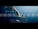 México Pelágico - Documental (versión español) - YouTube
