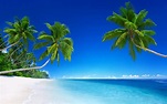 landscape, Tropical, Beach, Palm trees Wallpapers HD / Desktop and ...