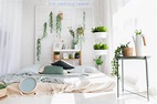 ¿Es bueno dormir con plantas en la habitación? - Mejor con Salud