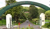 UNIVERSIDAD DE NARIÑO: CARRERAS Y PROGRAMAS