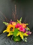 Bright Delight! in Portland, OR | Beaumont Florist