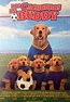 Los Cachorros de Buddy [2000] | Air bud, Disney movie posters, 2001 ...