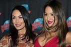 Total Divas Brie Bella claims WWE offered to 'pay for breast implants ...