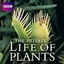 The Private Life of Plants - TV on Google Play