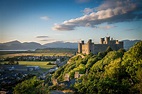 Things to do in Harlech - Dioni Holiday Cottages