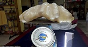 Fisherman found giant pearl worth $100million and kept it under his bed ...