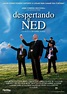 Despertando a Ned (1998) | Movie posters, Cando, Poster