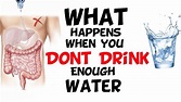 What happens to you when you don't drink enough water ? - YouTube