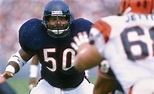 No. 13: Mike Singletary - 50 Greatest Bears - ESPN