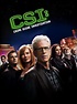 CSI!! This is the show that started my obsession with forensics and ...