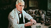 Penicillin's discovery, development, and success surveyed | Britannica