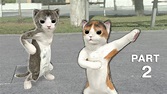 Dancing cats - part 2 - YouTube